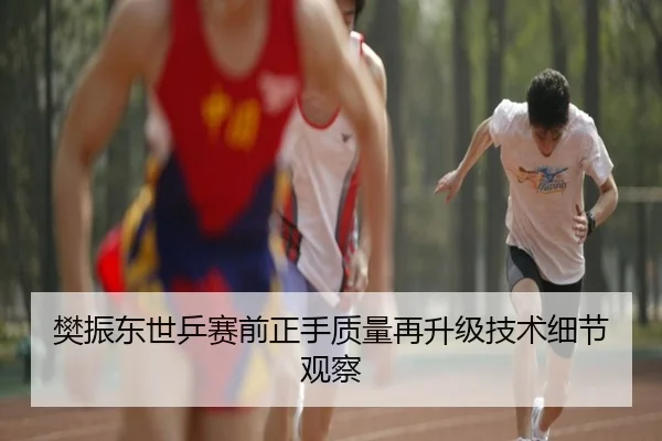 樊振东世乒赛前正手质量再升级技术细节观察